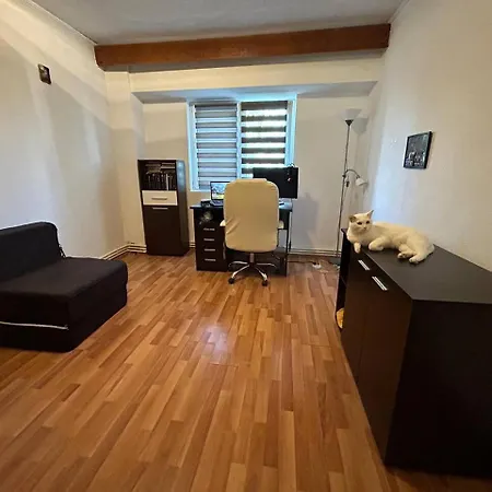 Apartament Central In *